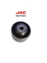 POLEA TENSORA JAC  S5 1023608GA-N