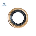 CONJUNTO SELLO JAC T8 / C2301-00100055